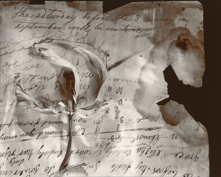 Olivia Parker - Saturday (from "Lost Objects portfolio)