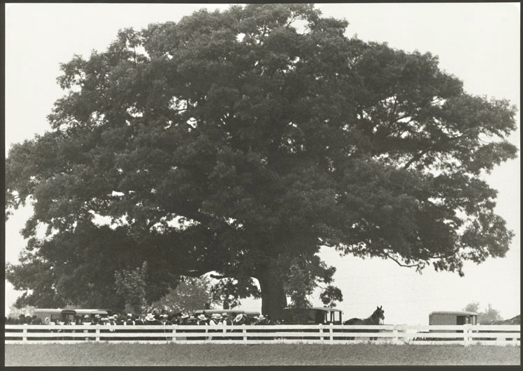 Barry Thumma - Amish Burial under the Family Tree Barry Thumma - Amish Burial under the Family Tree