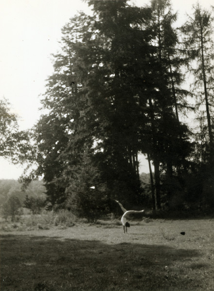 Jacques-Henri Lartigue - Huguette Sabouret au Château des Essarts, Veyvialle, France