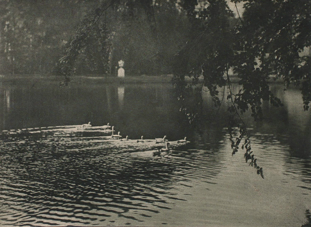 Jozef Emiel Borrenbergen - From the Portfolio "Rivierenhof" V