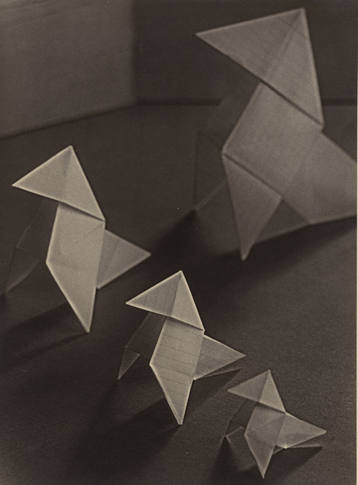 Alexis Delcroix - Famille de Cocottes (An Origami Family of Hen and Chicks)