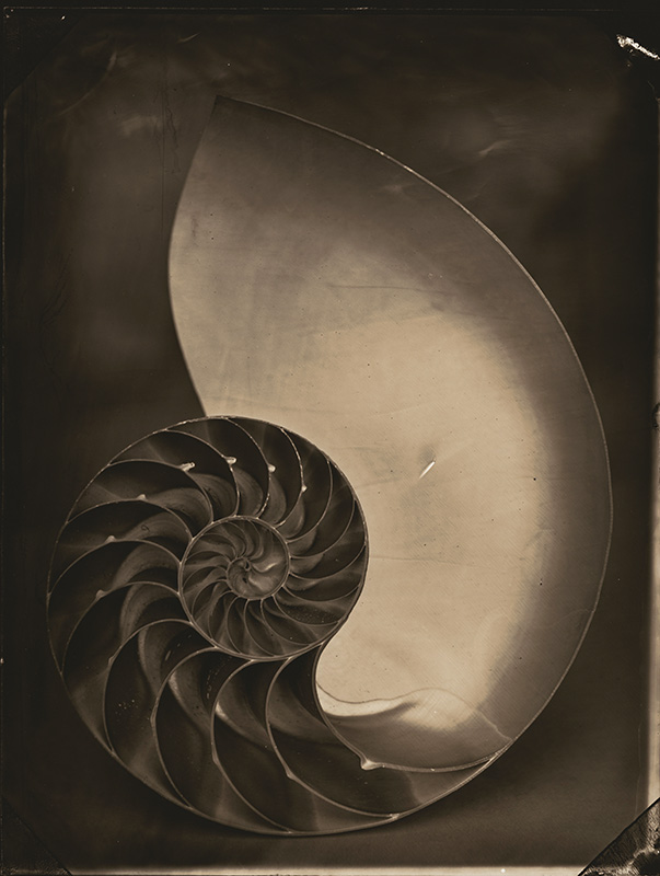 Click to view the Exhibit