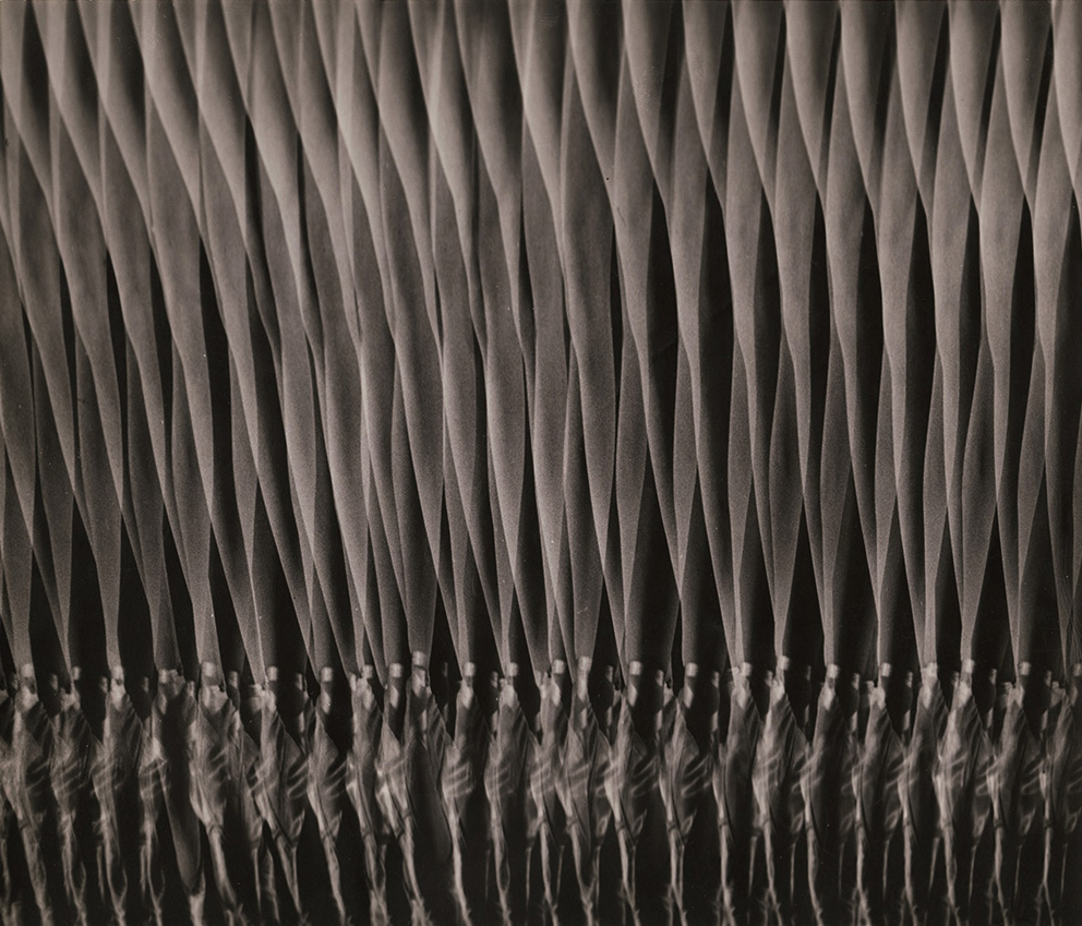 Gjon Mili - Nora Kaye, Pas de Bourree (detail)