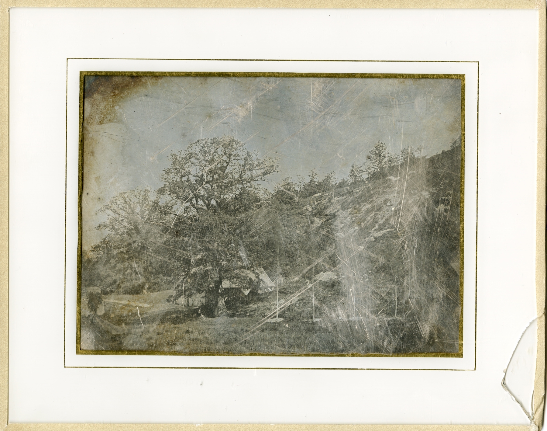 Hippolyte Bayard - Trees on Property of the Château of Dampierre Hippolyte Bayard - Trees on Property of the Château of Dampierre