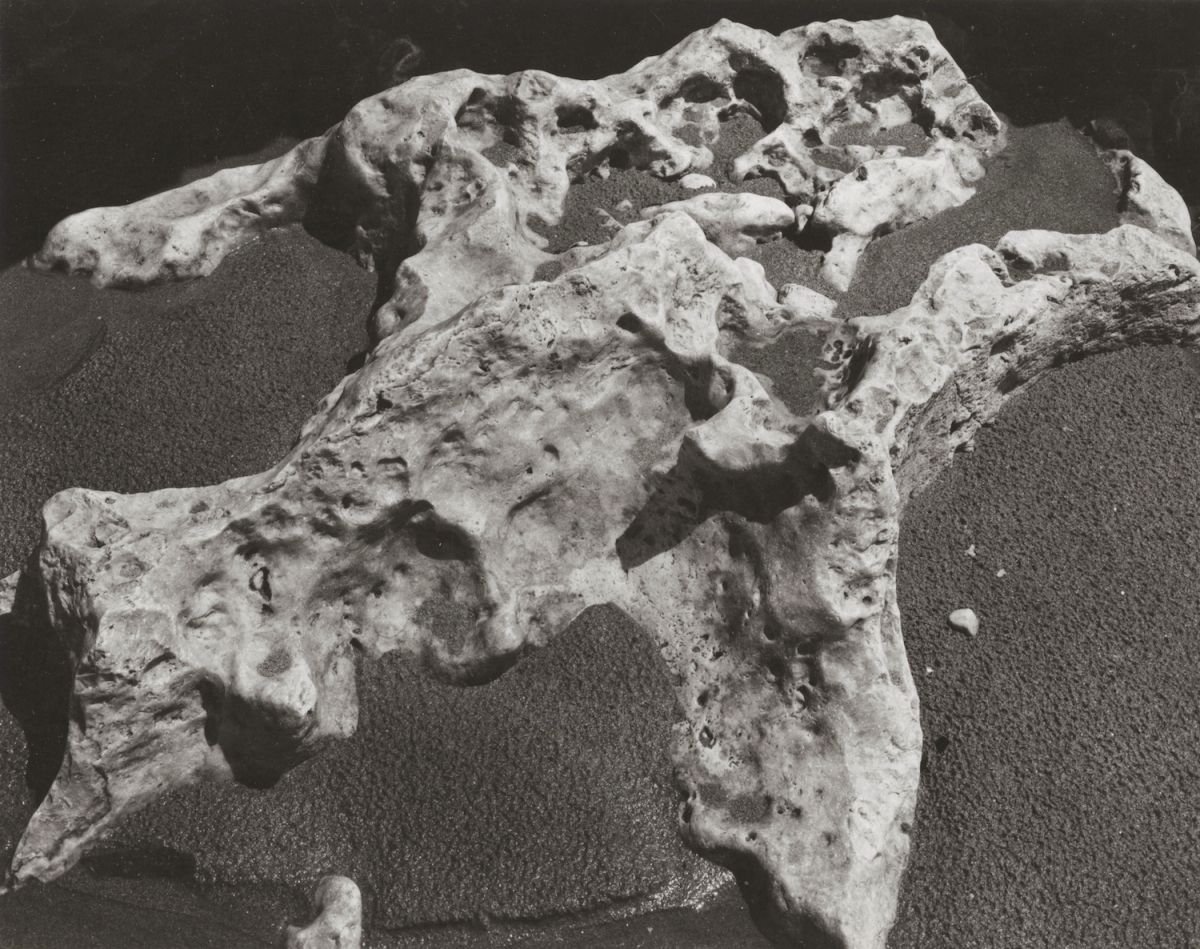 Brett Weston - Rock