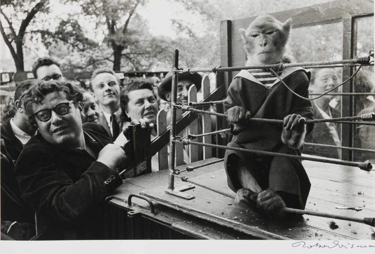 Robert Doisneau - Les Animaux Supérieurs