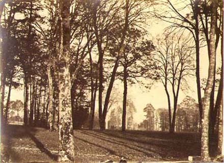 Saugrin (possibly Louis Francois) - Landscape
