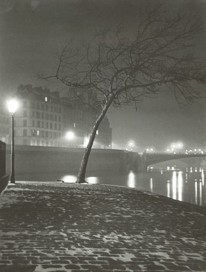 Maurice Georges Chanu - Tree Study in Snow along Seine, Paris
