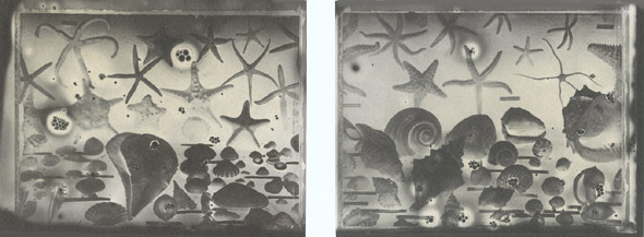 Gabor Kerekes - Shell (double), 1996