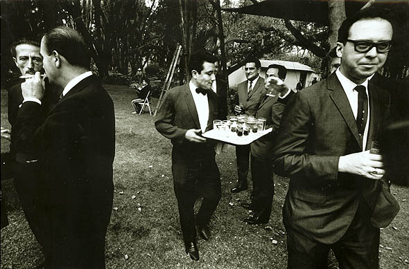 Karol Charles Kallay - Garden Party