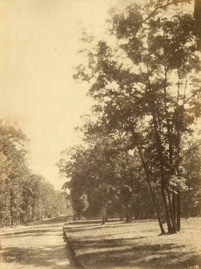 Hippolyte Bayard - A Study of Trees and Road Hippolyte Bayard - A Study of Trees and Road