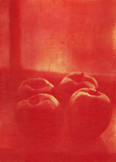 Still Life #1 (Apples)